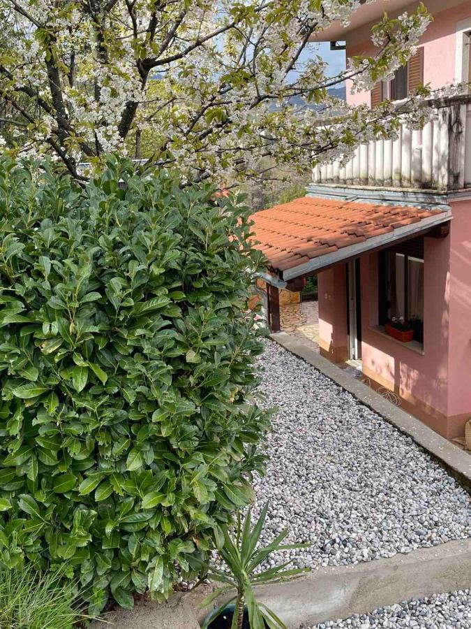 Apartments Lovro 로브란 외부 사진
